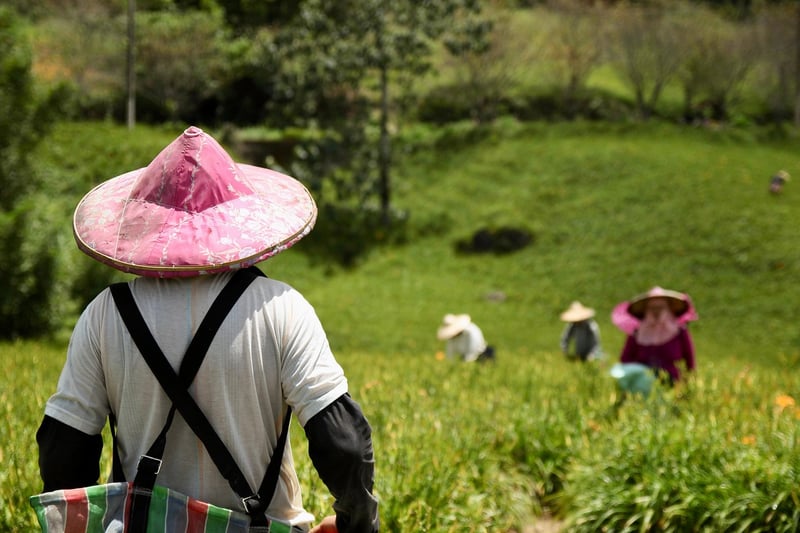 Sun protection