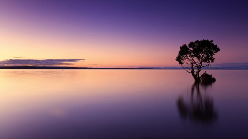 Sunset in the wilderness
